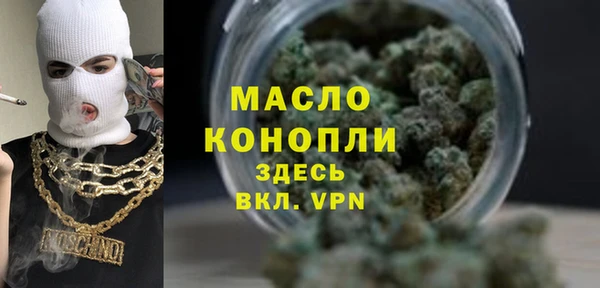 молекула духа Нягань