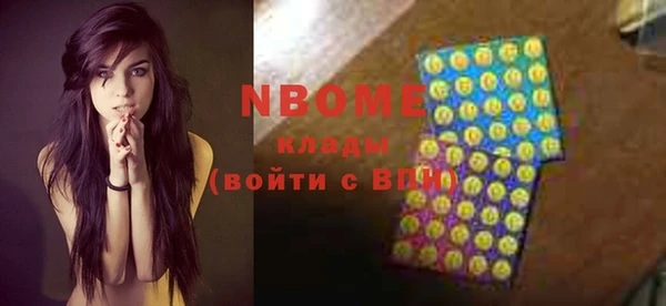 молекула духа Нягань