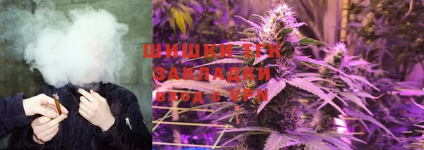молекула духа Нягань