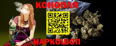 крисы Пенза