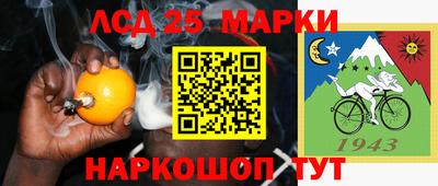 крисы Пенза