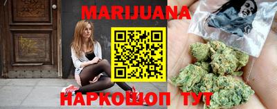крисы Пенза