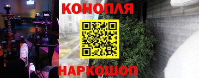 крисы Пенза