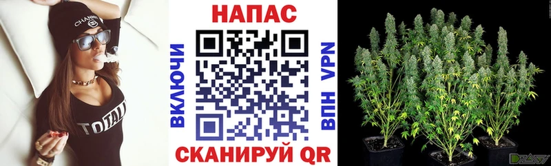 KRAKEN рабочий сайт Ялуторовск Бошки Шишки Ganja